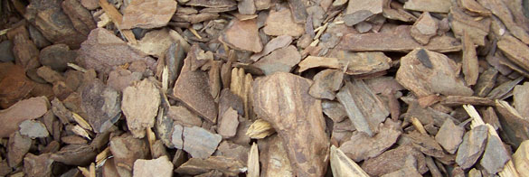 pine-bark-mulch